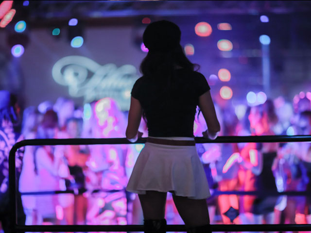 Fillies & Stallions Celebrity Guests